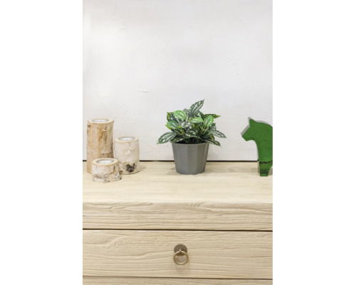 Künstliche Zimmerpflanze im grauen Topf, drei Birkenholz-Kerzenhalter und grüne Glasfigur auf einem hellen Sideboard aus Holz.