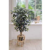 Künstlicher Ficus Benjamina in einem dekorativen Rattan-Pflanzenständer in einem hellen Raum mit großem Fenster.