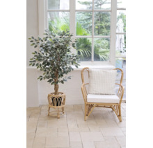 Künstlicher Ficus in einem Pflanzenständer aus Rattan neben einem Sessel aus Rattan mit Kissen in einem hellen Raum im Boho-Stil.