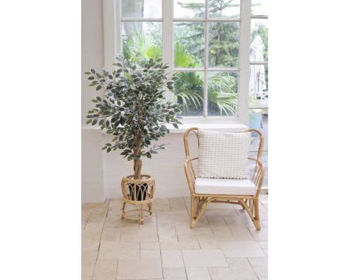 Künstlicher Ficus in einem Pflanzenständer aus Rattan neben einem Sessel aus Rattan mit Kissen in einem hellen Raum im Boho-Stil.