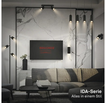 Salon moderne avec luminaires noirs de la série IDA : lampadaire, suspensions et spots. Mur aspect marbre, canapé gris. Briloner Logo.