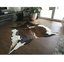 Naturbrauner und weißer Kuhfellteppich auf Holzboden in einem hellen, modernen Wohnzimmer mit großer Pflanze.