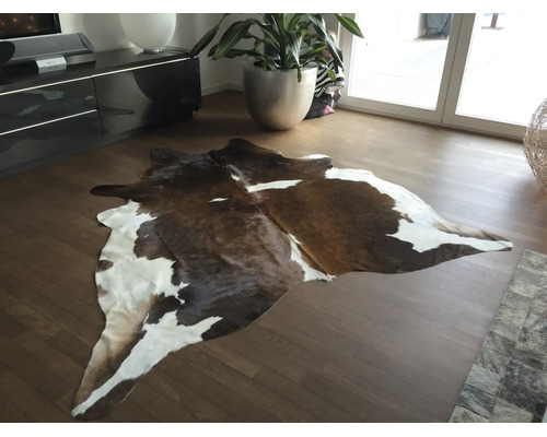 Naturbrauner und weißer Kuhfellteppich auf Holzboden in einem hellen, modernen Wohnzimmer mit großer Pflanze.
