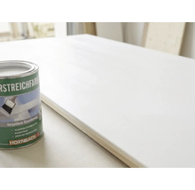 Eng Dous Hornbach Vorstreichfarbe nieft enger Holzplack, déi mat enger wäisser Grondéierung ugestrach gouf.
