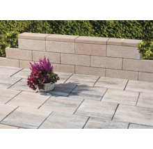 Terrasse lumineuse avec des dalles de sol rectangulaires texturées et un muret de jardin en blocs de béton.
