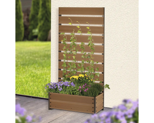 Pflanzkasten mit Rankgitter aus Holz-Kunststoff-Verbundwerkstoff auf einer Holzterrasse vor einer Hauswand, bepflanzt mit Efeu und Blumen.