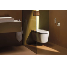Salle de bains moderne avec toilette douche suspendue, paroi de séparation en verre, meuble sous lavabo et plaque de déclenchement.