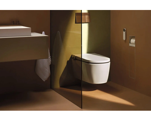 Salle de bains moderne avec toilette douche suspendue, paroi de séparation en verre, meuble sous lavabo et plaque de déclenchement.