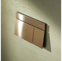 Plaque de déclenchement Hansgrohe pour WC avec double rinçage au design métallique.