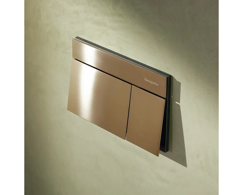 Plaque de déclenchement Hansgrohe pour WC avec double rinçage au design métallique.
