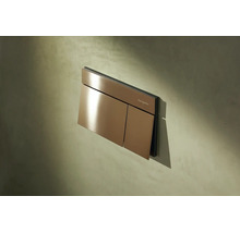 Plaque de déclenchement Hansgrohe pour WC avec rinçage double touche en aspect bronze montée sur un mur.