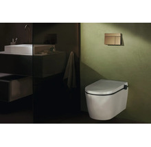 WC douche suspendu dans une salle de bains moderne avec mur vert, plaque de déclenchement dorée et reflet de lavabo.