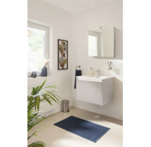 Salle de bains moderne et lumineuse avec meuble sous-vasque suspendu, armoire de toilette, tapis bleu et plante d'intérieur.