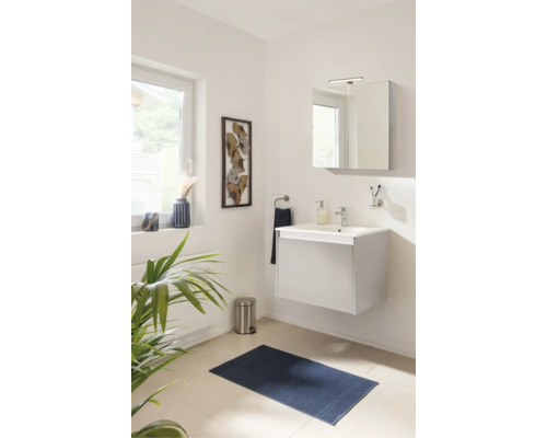 Salle de bains moderne et lumineuse avec meuble sous-vasque suspendu, armoire de toilette, tapis bleu et plante d'intérieur.