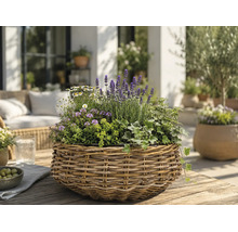 Panier en osier avec lavande, lierre et fleurs blanches sur table en bois sur terrasse lumineuse et organisée avec meubles de jardin.