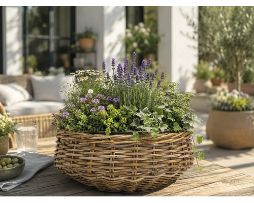 Panier en osier avec lavande, lierre et fleurs blanches sur table en bois sur terrasse lumineuse et organisée avec meubles de jardin.