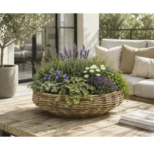 Panier tressé rond avec lavande, marguerites et lierre sur une table en bois dans un espace extérieur lumineux avec meubles de jardin.
