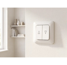 Interrupteur pour stores avec deux bascules et symboles pour monter et descendre sur un mur dans une pièce lumineuse.