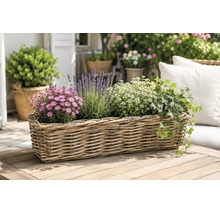 Jardinière rectangulaire en osier sur une table en bois, plantée de lavande, de lierre et de fleurs sur une terrasse lumineuse.