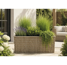 Bac à plantes rectangulaire en résine tressée sur une terrasse avec de la lavande, des graminées ornementales et des plantes retombantes.