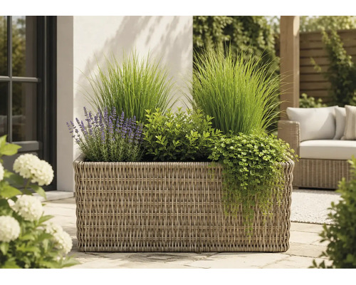 Bac à plantes rectangulaire en résine tressée sur une terrasse avec de la lavande, des graminées ornementales et des plantes retombantes.