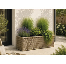 Jardinière rectangulaire en résine tressée sur une terrasse, garnie de graminées ornementales, de lavande et de diverses plantes.