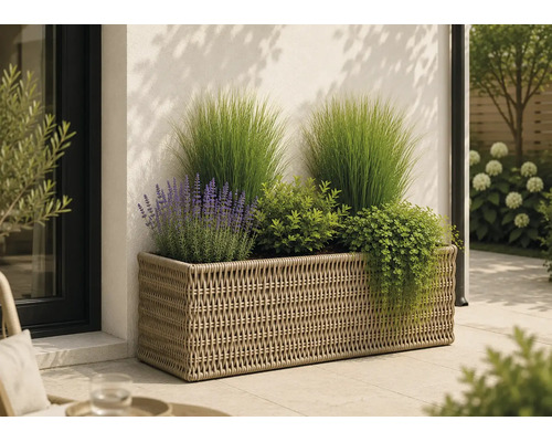 Jardinière rectangulaire en résine tressée sur une terrasse, garnie de graminées ornementales, de lavande et de diverses plantes.