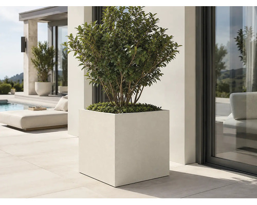 Grand bac à fleurs carré avec plante sur une terrasse moderne et lumineuse à côté d'une piscine.
