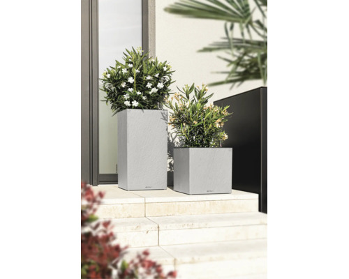 Deux bacs à fleurs Lechuza modernes, aspect ardoise, avec des plantes fleuries sur des marches en pierre claire devant une entrée.