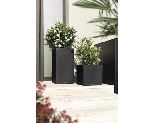 Deux jardinières anthracite aspect ardoise sur un escalier extérieur avec des plantes vertes et des fleurs blanches.