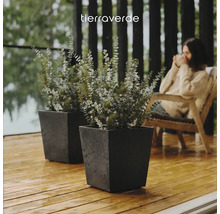 Zwei quadratische strukturierte Pflanzkübel mit Eukalyptus auf einer Holzterrasse. Tierraverde Logo.