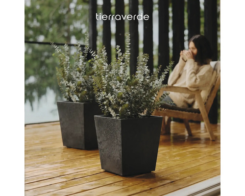 Zwei quadratische strukturierte Pflanzkübel mit Eukalyptus auf einer Holzterrasse. Tierraverde Logo.