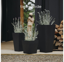 Tierraverde Logo. Drei schwarze quadratische Pflanzgefäße in verschiedenen Höhen mit Lavendel auf einer Terrasse.
