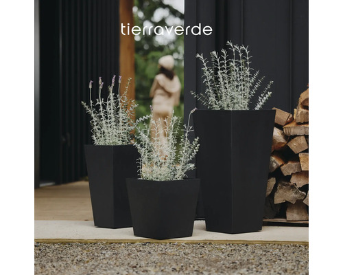 Tierraverde Logo. Drei schwarze quadratische Pflanzgefäße in verschiedenen Höhen mit Lavendel auf einer Terrasse.
