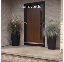 Entrée moderne avec porte en bois et deux grands bacs à fleurs noirs contenant des graminées ornementales. Logo Tierra Verde.