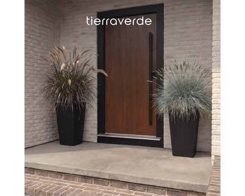 Entrée moderne avec porte en bois et deux grands bacs à fleurs noirs contenant des graminées ornementales. Logo Tierra Verde.