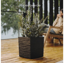 Quadratischer Tierra Verde Pflanzkübel mit strukturierter Oberfläche und Eukalyptus auf einer hellen Holzterrasse.