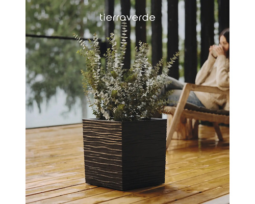 Quadratischer Tierra Verde Pflanzkübel mit strukturierter Oberfläche und Eukalyptus auf einer hellen Holzterrasse.