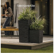 Tierra Verde Logo. Zwei quadratische, strukturierte Pflanzkübel mit Pflanzen auf einer organisierten Terrasse mit Holztisch und Teppich.
