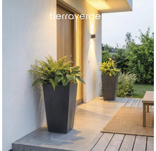 Deux grands pots de fleurs coniques aspect pierre avec des fougères et des hostas sur une terrasse moderne éclairée. Logo Tierraverde.