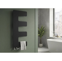 Radiateur design Rotheigner Eta 870 x 360 mm noir mat raccordement d'un seul côté en bas