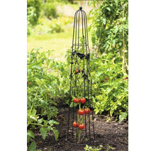 Rankobelisk aus Metall für Tomaten mit Vogelmotiven in einem Gartenbeet.