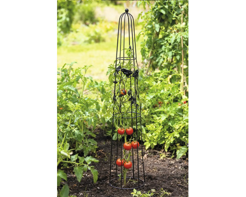 Rankobelisk aus Metall für Tomaten mit Vogelmotiven in einem Gartenbeet.