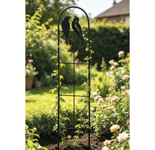 Tuteur en métal noir avec motifs d oiseaux dans un jardin, avec plantes grimpantes à côté de rosiers.