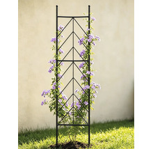 Treillis en métal noir avec motif géométrique, couvert d'une plante grimpante fleurie dans un jardin.
