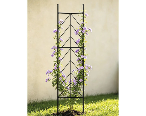 Treillis en métal noir avec motif géométrique, couvert d'une plante grimpante fleurie dans un jardin.
