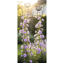 Treillis décoratif en métal avec des motifs de fleurs au sommet, couvert de plantes grimpantes dans un jardin ensoleillé.