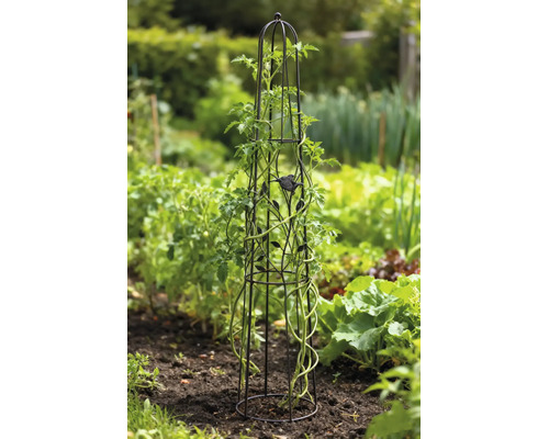 Rankobelisk aus Metall mit Vogel- und Blattdekor, unterstützt eine Kletterpflanze in einem Gartenbeet.