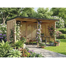 Pavillon en bois avec parois à lamelles, toit plat et plantes grimpantes dans un jardin lumineux avec chemin en pierre et meubles en bois.