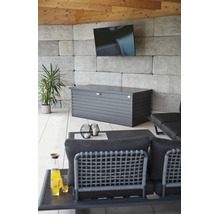 Auflagenbox Biohort FreizeitBox 180 800 l inkl. Gasdruckfedern 181 x 79 x 71 cm dunkelgrau-metallic